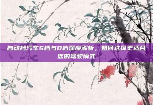 自动挡汽车S档与D档深度解析,如何选择更适合您的驾驶模式