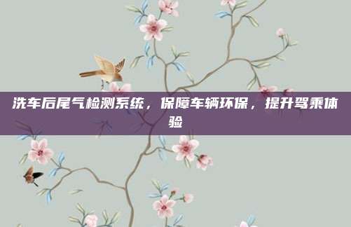 洗车后尾气检测系统,保障车辆环保,提升驾乘体验