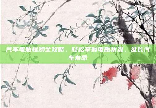汽车电瓶检测全攻略,轻松掌握电瓶状况,延长汽车寿命