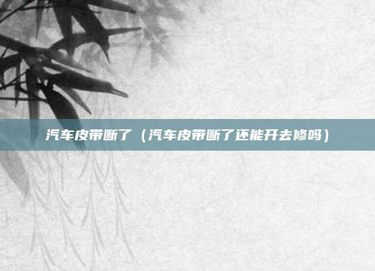 汽车皮带断了（汽车皮带断了还能开去修吗）