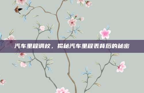 汽车里程调校,揭秘汽车里程表背后的秘密