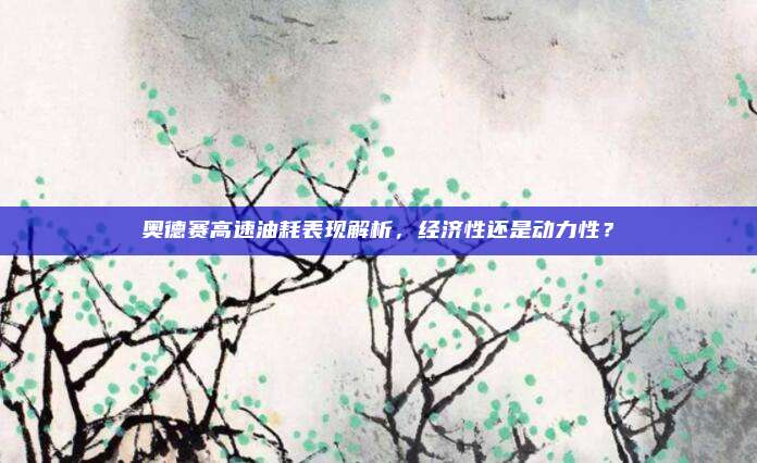 奥德赛高速油耗表现解析,经济性还是动力性?