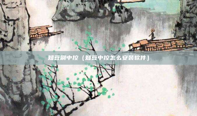 知豆刷中控（知豆中控怎么安装软件）