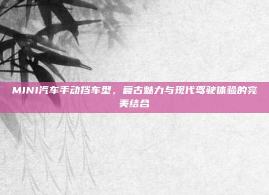 MINI汽车手动挡车型,复古魅力与现代驾驶体验的完美结合