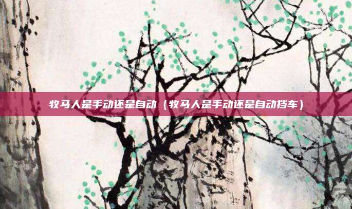 牧马人是手动还是自动（牧马人是手动还是自动挡车）