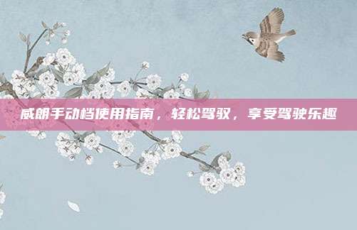威朗手动档使用指南,轻松驾驭,享受驾驶乐趣