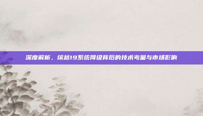 深度解析,缤越19系统降级背后的技术考量与市场影响
