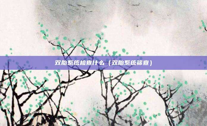 双胎系统检查什么（双胎系统筛查）