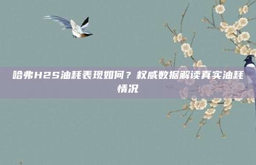 哈弗H2S油耗表现如何?权威数据解读真实油耗情况