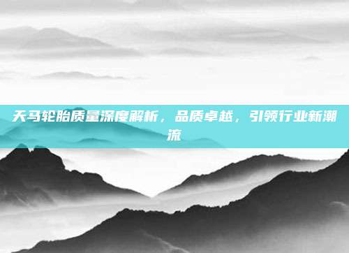 天马轮胎质量深度解析,品质卓越,引领行业新潮流