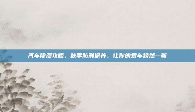 汽车除湿攻略,秋季防潮保养,让你的爱车焕然一新