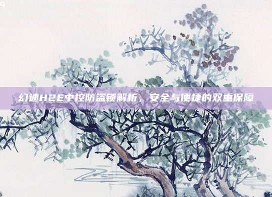 幻速H2E中控防盗锁解析,安全与便捷的双重保障