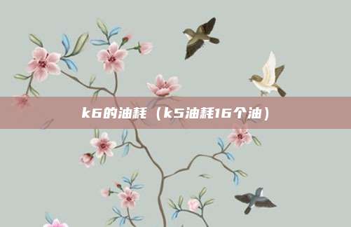 k6的油耗（k5油耗16个油）