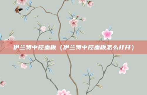 伊兰特中控盖板（伊兰特中控盖板怎么打开）