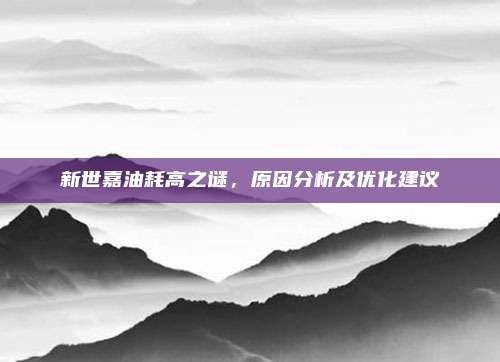 新世嘉油耗高之谜,原因分析及优化建议