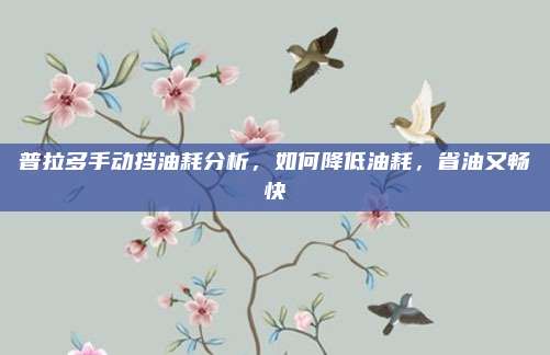 普拉多手动挡油耗分析,如何降低油耗,省油又畅快