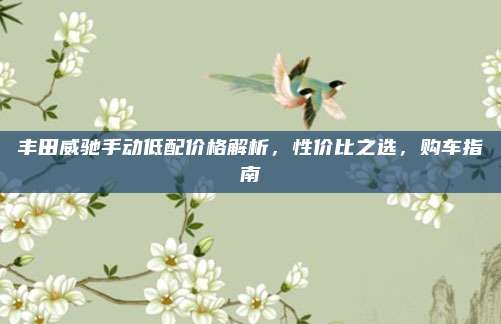 丰田威驰手动低配价格解析,性价比之选,购车指南