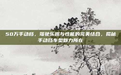 50万手动档,驾驶乐趣与性能的完美结合,揭秘手动挡车型魅力所在
