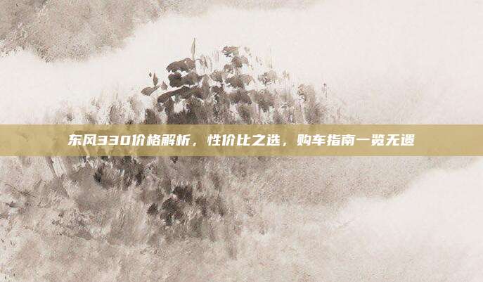 东风330价格解析,性价比之选,购车指南一览无遗