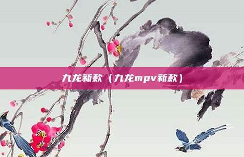 九龙新款（九龙mpv新款）