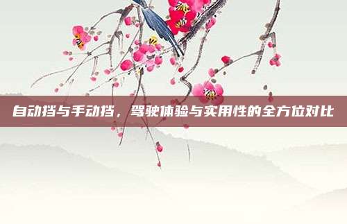 自动挡与手动挡,驾驶体验与实用性的全方位对比