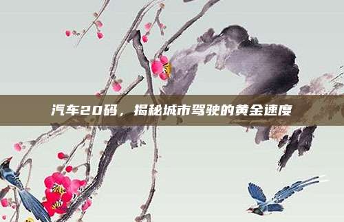 汽车20码,揭秘城市驾驶的黄金速度