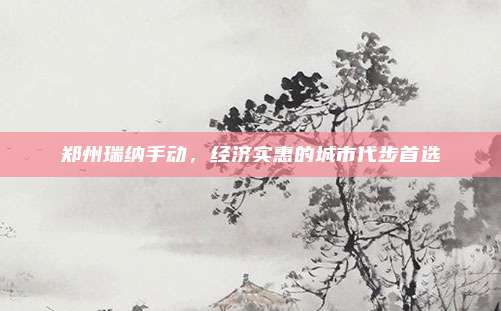 郑州瑞纳手动,经济实惠的城市代步首选