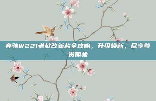 奔驰W221老款改新款全攻略,升级焕新,尽享尊贵体验