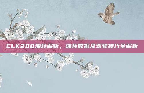 CLK200油耗解析，油耗数据及驾驶技巧全解析