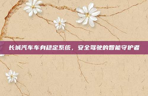 长城汽车车身稳定系统,安全驾驶的智能守护者