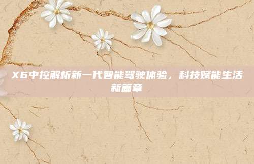 X6中控解析新一代智能驾驶体验,科技赋能生活新篇章