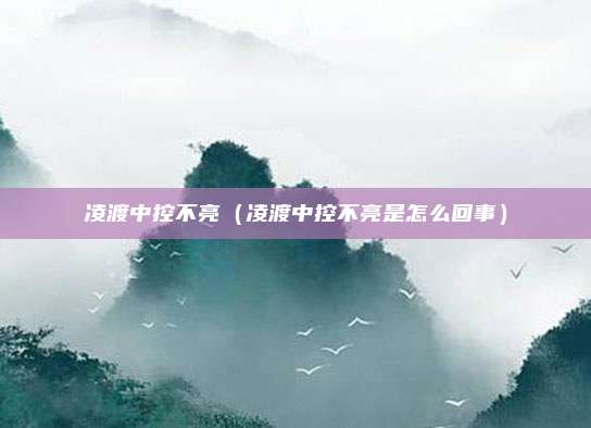 凌渡中控不亮（凌渡中控不亮是怎么回事）