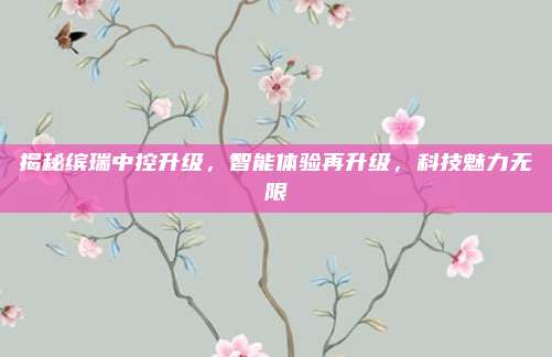 揭秘缤瑞中控升级,智能体验再升级,科技魅力无限