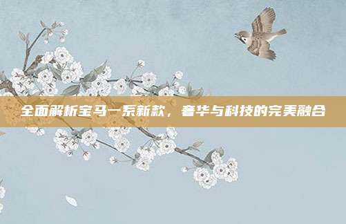 全面解析宝马一系新款,奢华与科技的完美融合