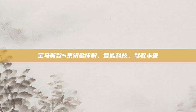 宝马新款5系钥匙详解,智能科技,驾驭未来