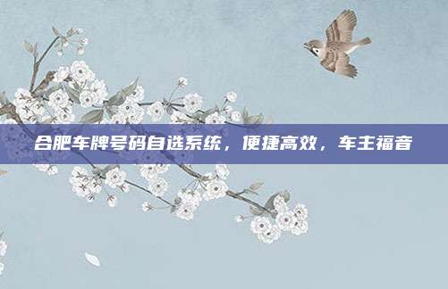 合肥车牌号码自选系统,便捷高效,车主福音