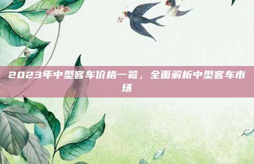 2023年中型客车价格一览,全面解析中型客车市场