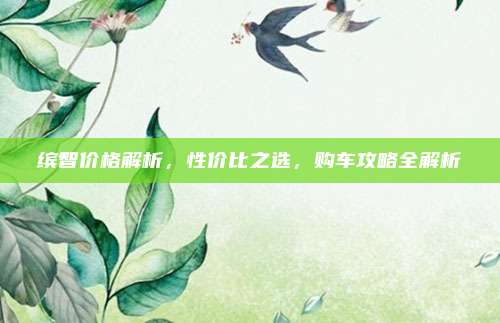 缤智价格解析,性价比之选,购车攻略全解析