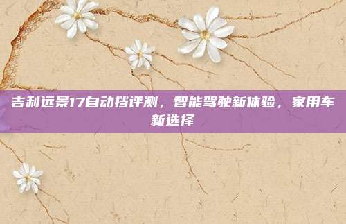 吉利远景17自动挡评测,智能驾驶新体验,家用车新选择
