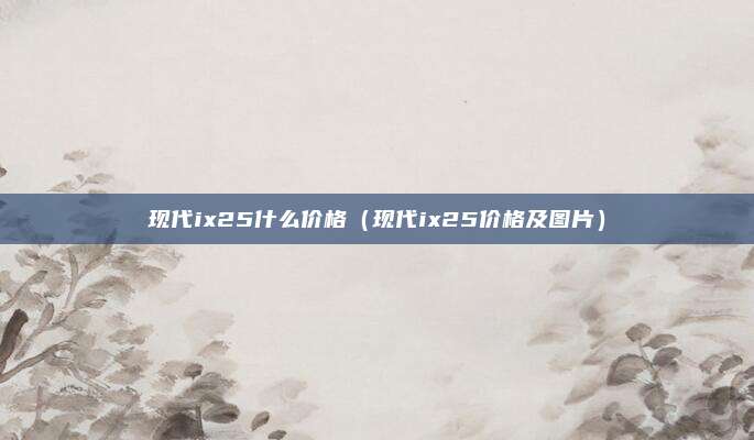现代ix25什么价格（现代ix25价格及图片）