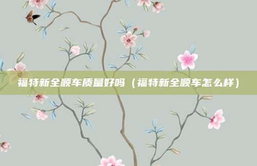 福特新全顺车质量好吗（福特新全顺车怎么样）