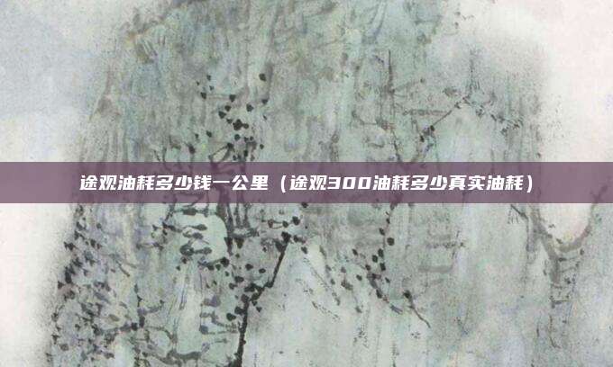 途观油耗多少钱一公里（途观300油耗多少真实油耗）