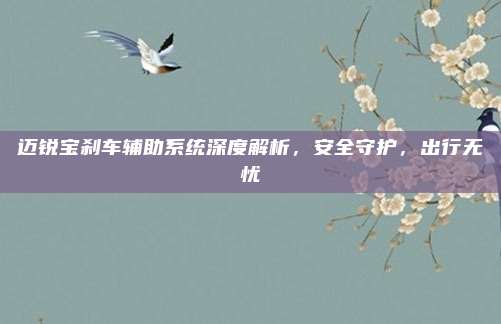 迈锐宝刹车辅助系统深度解析,安全守护,出行无忧