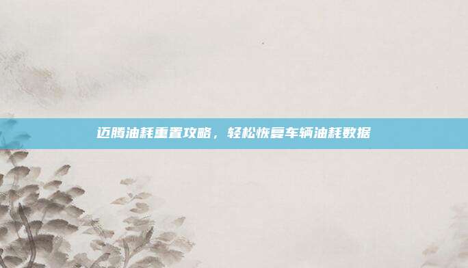 迈腾油耗重置攻略,轻松恢复车辆油耗数据