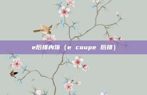 e后排内饰(e coupe 后排)