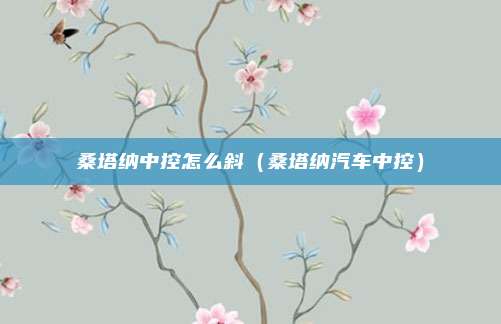 桑塔纳中控怎么斜（桑塔纳汽车中控）