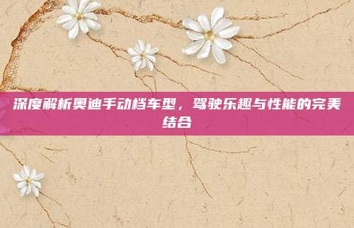 深度解析奥迪手动档车型,驾驶乐趣与性能的完美结合