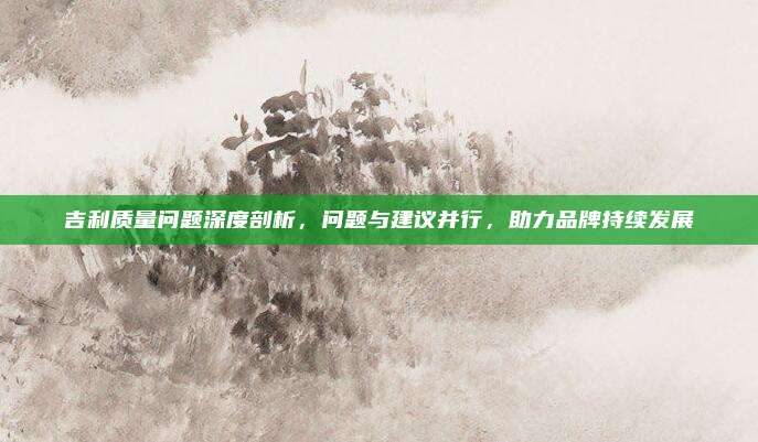 吉利质量问题深度剖析,问题与建议并行,助力品牌持续发展