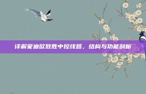 详解蒙迪欧致胜中控线路,结构与功能剖析
