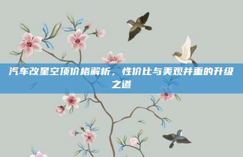 汽车改星空顶价格解析,性价比与美观并重的升级之道